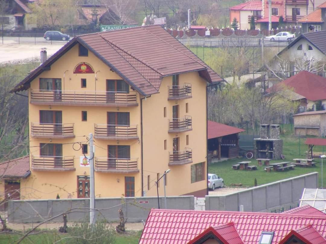 Pensiunea Riffelt Bran  Bagian luar foto